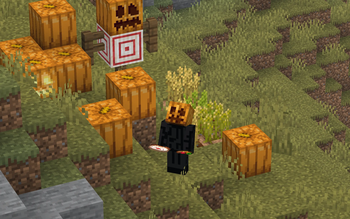 Carved Pumpkin Worn!!