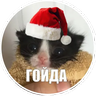 melkitov