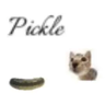Hypickle