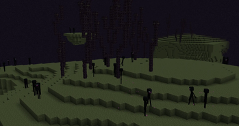 Endermen in the End