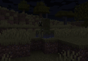 Creeper in a Savanna biome