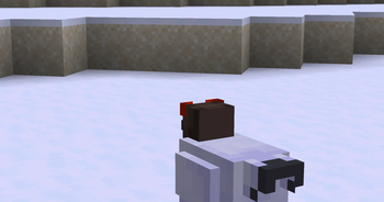 Cold Chickens as Awebo