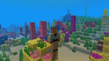 Become a Mermaid!