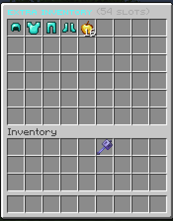 extra inventoy 