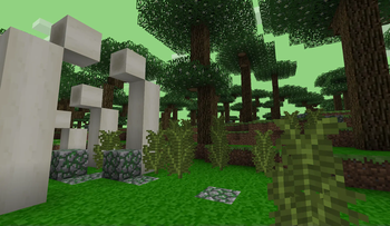Under the canopy