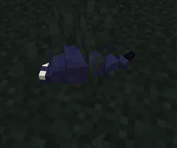 Silverfish's eye