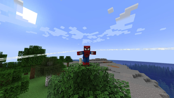 Webs