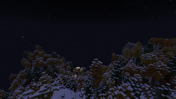Mountain forest