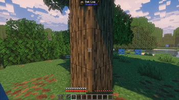 A tree??
