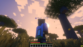 The Sunset