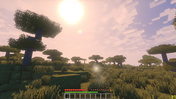 In Savanna.