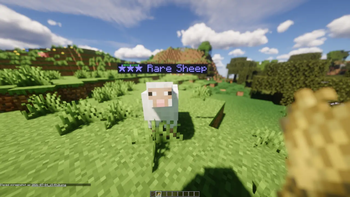 Rare Animals