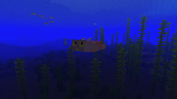A Jaxolotl in its natual habitat.