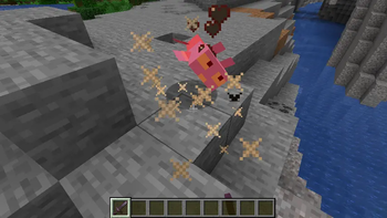 WAIT WHAT ARE YOU DOING NOOO