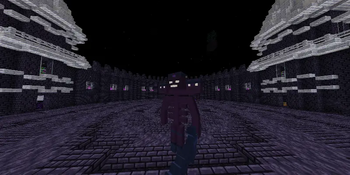 The Bossfight + the arena you fight in