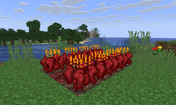 Netherwart
