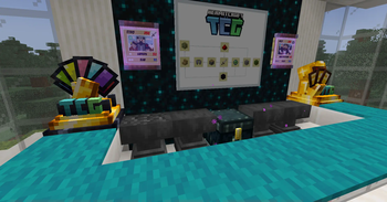 Hermitcraft TCG CIT