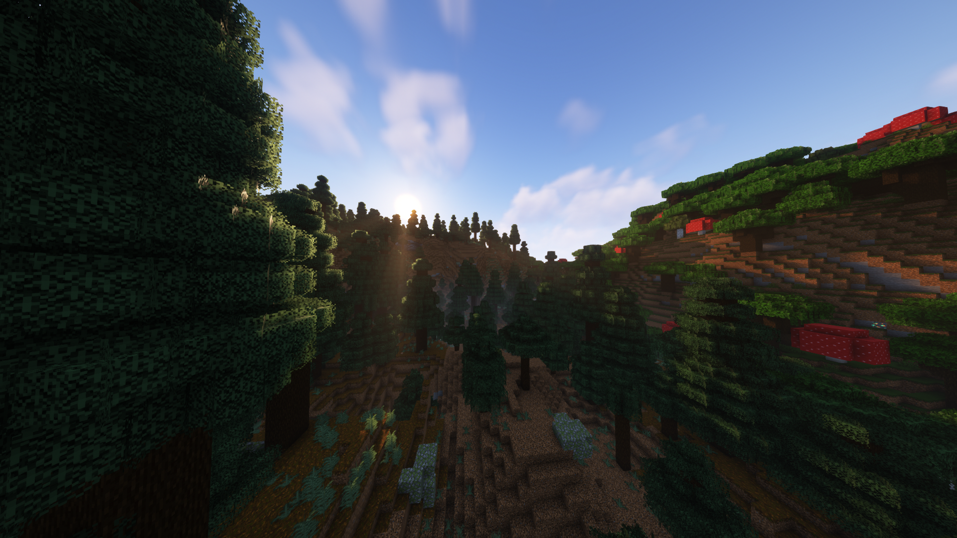 A spruce valley with bordering dark oak forest