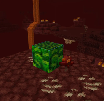 In Nether