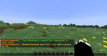 Winning a tournament