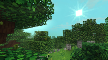 Between birch and dark oak