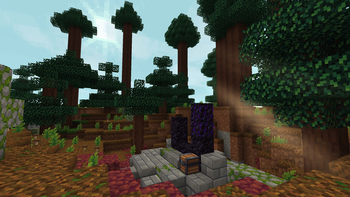 Old growth taiga