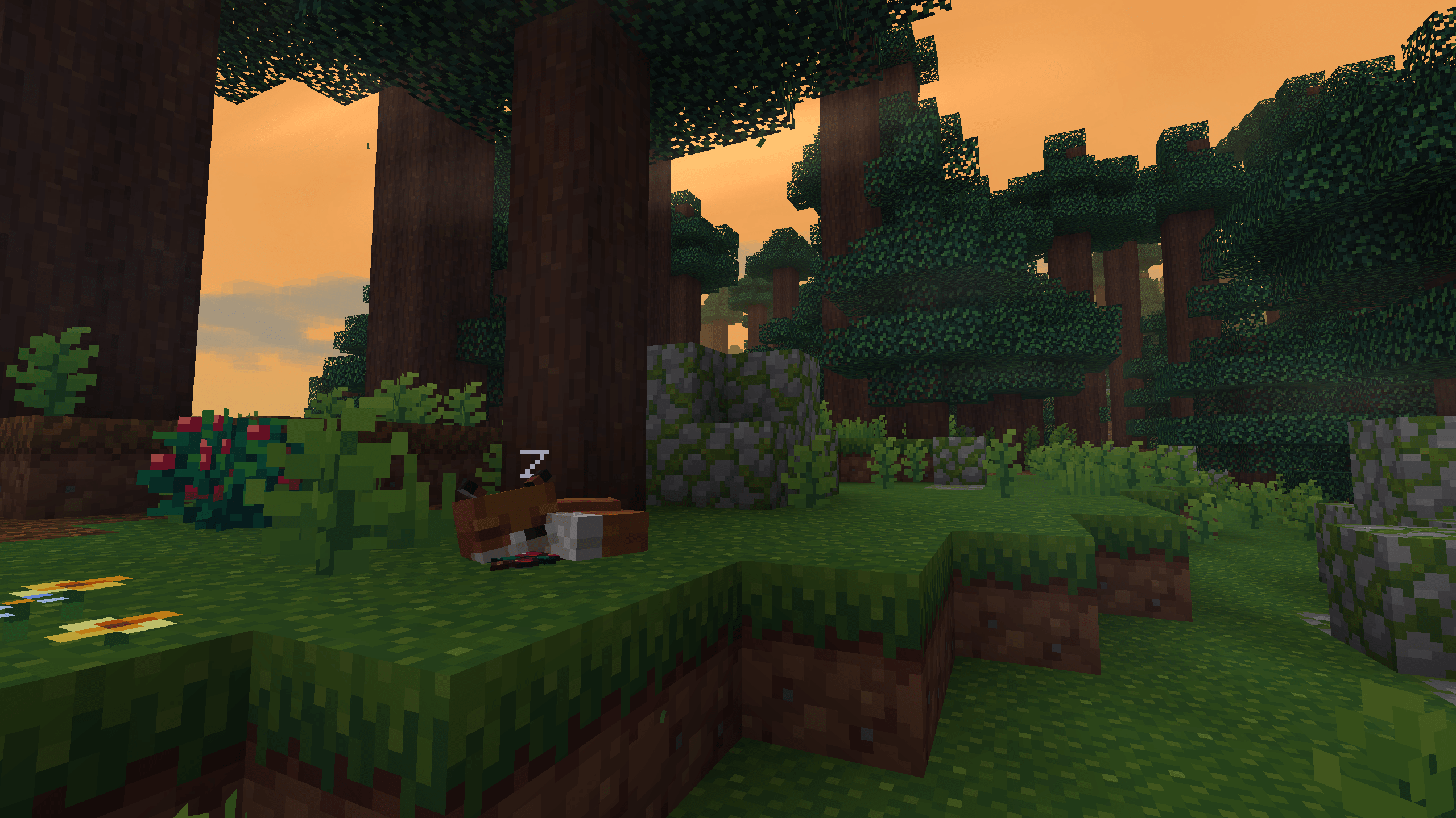 Sleeping fox in a pretty sunset