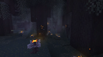 Pale garden at night