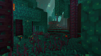 Warped forest