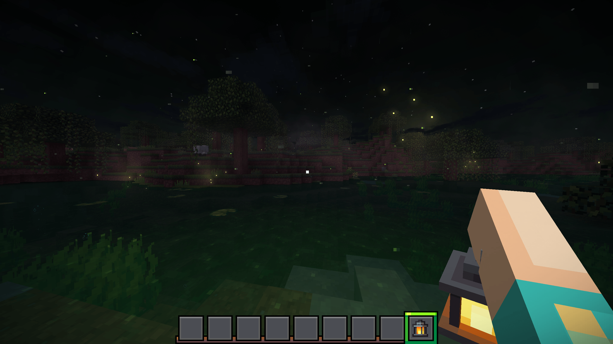Swamp at night with the player holding a lantern