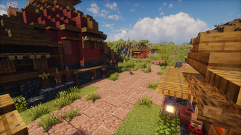 Savanna village - Market
