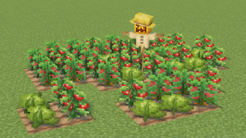 New crops！