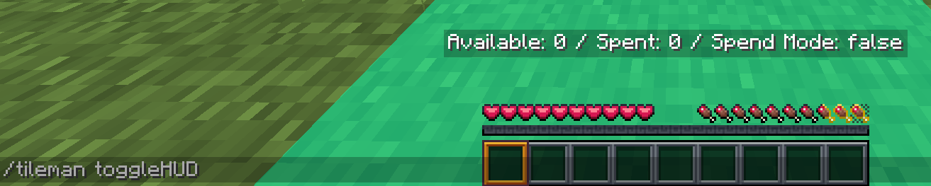 Toggleable Heads-Up Display!
