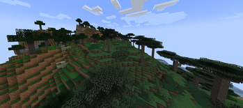 Maple Forest