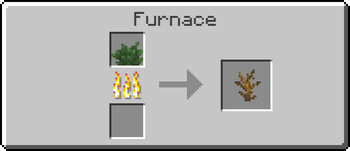 Dead Bush from Bush