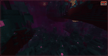 Warped Forest