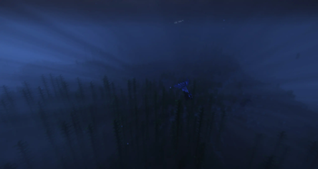 Aquatic Creepers