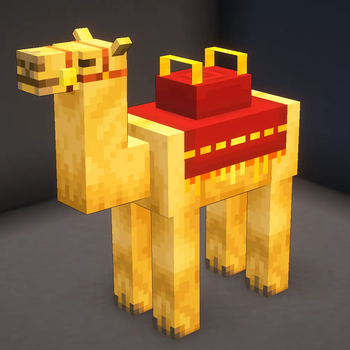 New Camel Saddle Design
