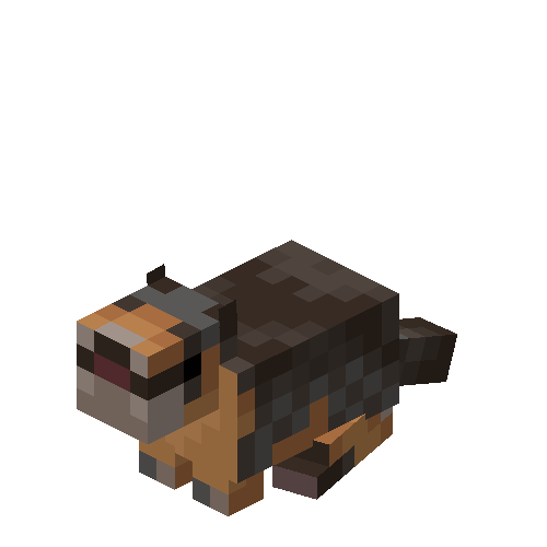 Yellow Bellied Marmot