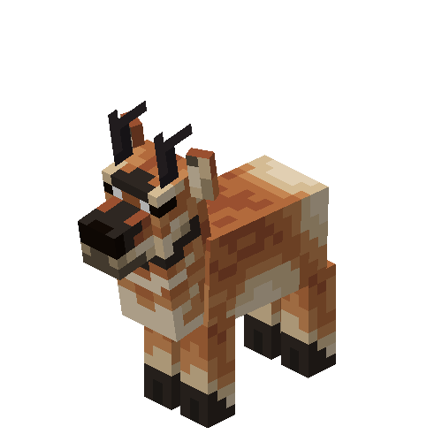 Pronghorn