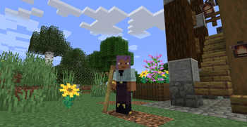 Walking Stick