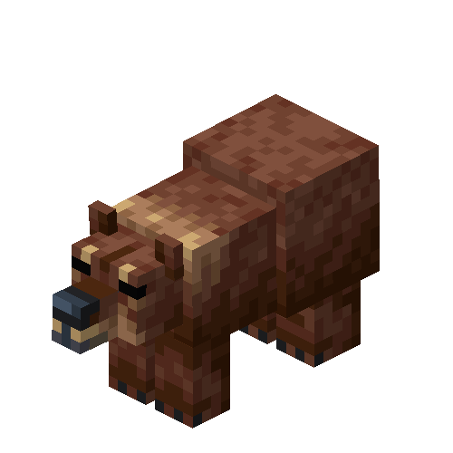 Cinnamon Bear