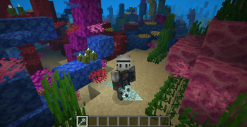 Underwater