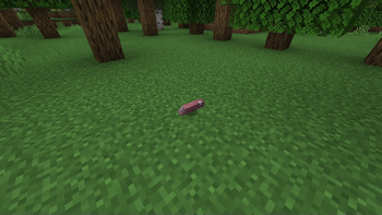 On the ground
