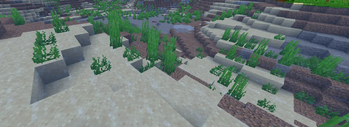 Clear Water