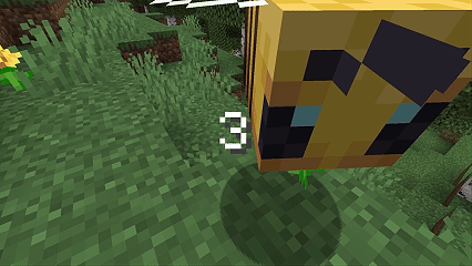 Entity Camera