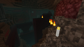 Blaze torch found a nether fortress