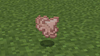 Calamari Item