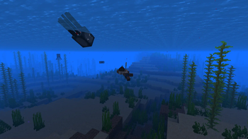 Go Hunt For Squid!