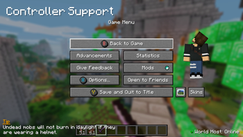 Controller Support